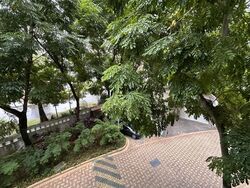 East Meadows (D16), Condominium #497152061